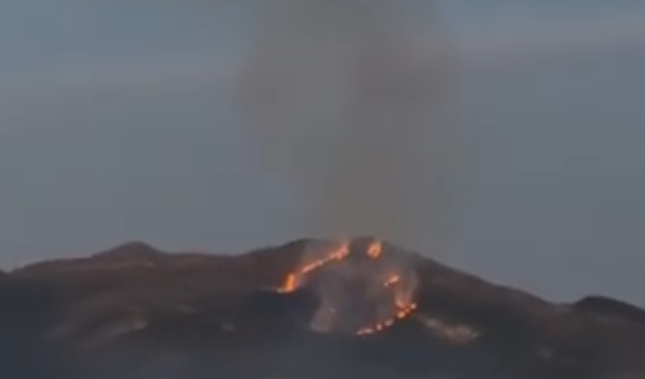 Peqin/ Përfshihet nga zjarri kodra me ullinj të fshatit Bishqem