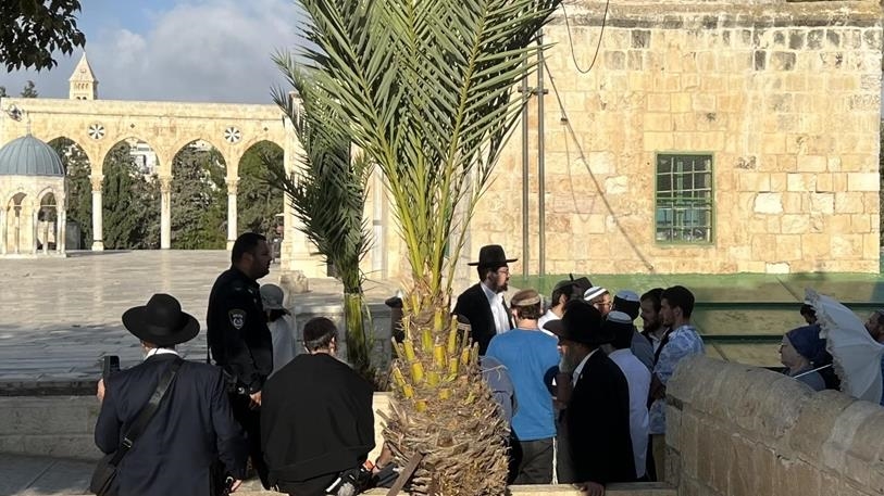 Gati 1.400 kolonë të paligjshëm izraelitë futen në Xhaminë Al-Aksa për të shënuar festën Sukkot