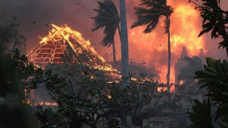 1 muaj pas zjarrit në Maui, 66 persona ende të zhdukur