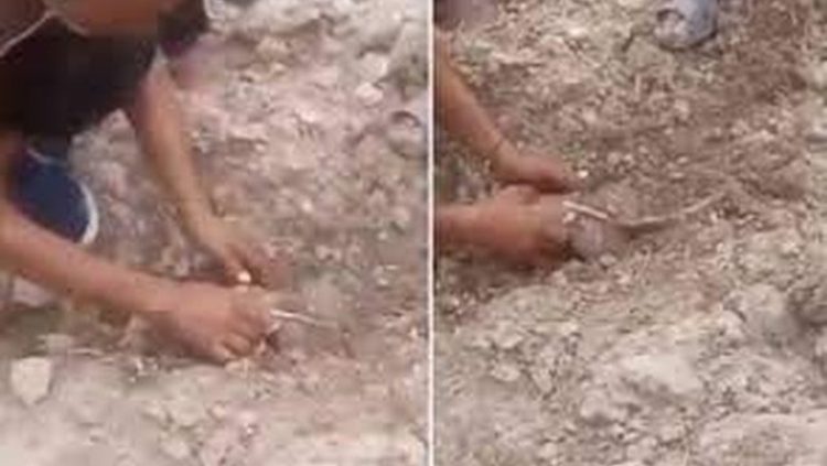 Momenti kur foshnja nxirret e gjallë nga rrënojat pas tërmetit në Marok