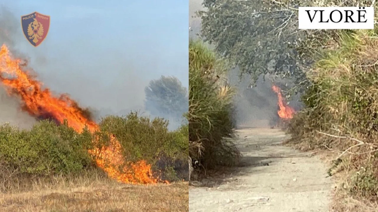 Ndezën zjarr në fshatrat Panaja dhe Mifol të Vlorës, në pranga njëri prej tyre