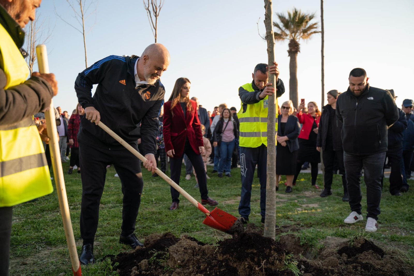 Rama: Pemët e dhuruara për Durrësin, nga fondi zgjedhor i Partisë Socialiste