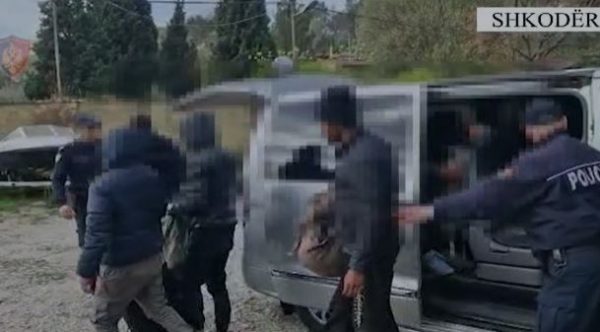 Kapet duke transportuar 13 emigrantë nga Bangladeshi dhe India drejt kufirit të Malit të Zi, arrestohet 66-vjeçari në Shkodër