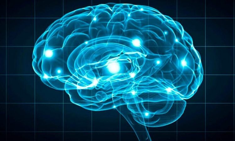 Kur funksionon më mirë truri i njeriut? Ekspertët japin përgjigjen interesante