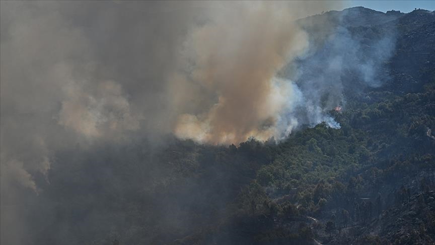 Zjarri pyjor në ishullin portugez Madeira shkrumbon më shumë se 6 për qind të ishullit