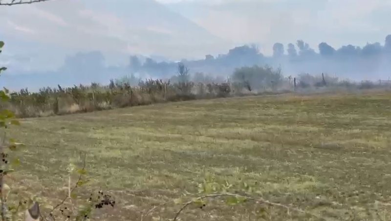 Zjarr në tokat bujqësore të Lazaratit, dyshohet se zjarrvënësi është pronari i tokës