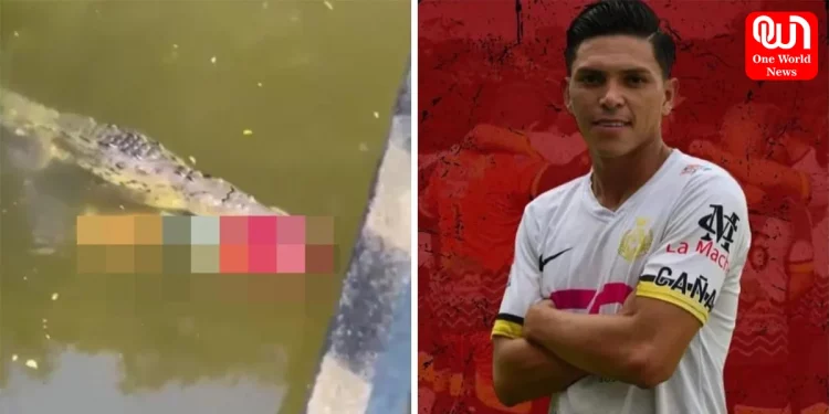 Krokodili vret futbollistin, e tërheq zvarrë përgjatë lumit në Kosta Rika