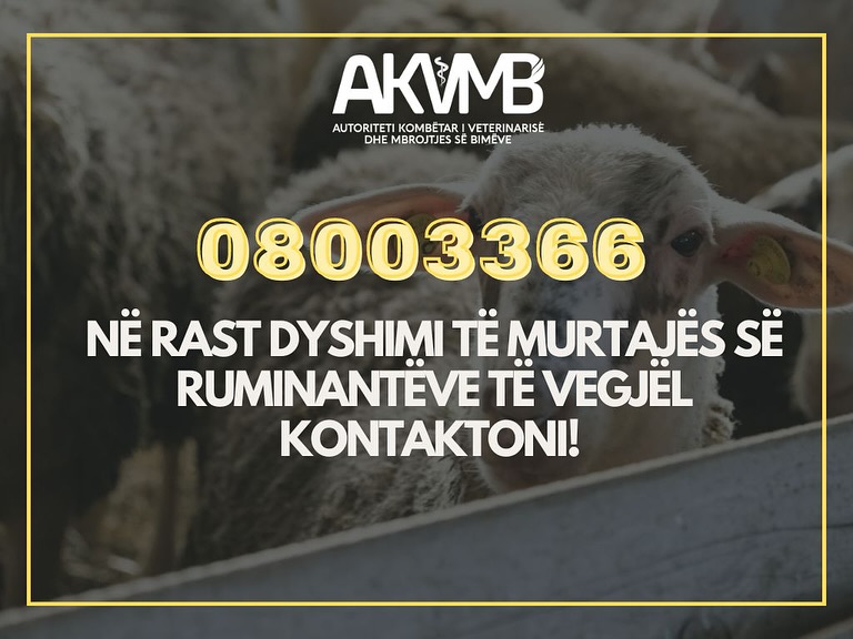 Sëmundjet e kafshëve në Ballkan, Autoriteti i Veterinarisë: Asnjë rast në Shqipëri, s’ka vend për panik