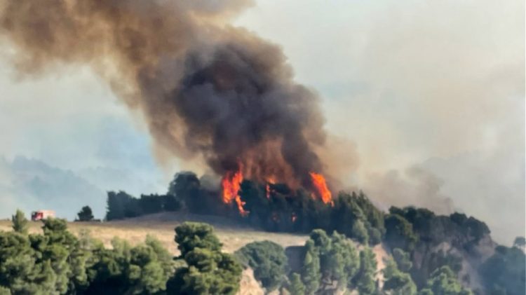 I nxehti ekstrem, zjarrfikësit në Greqi luftojnë me flakët prej disa ditësh