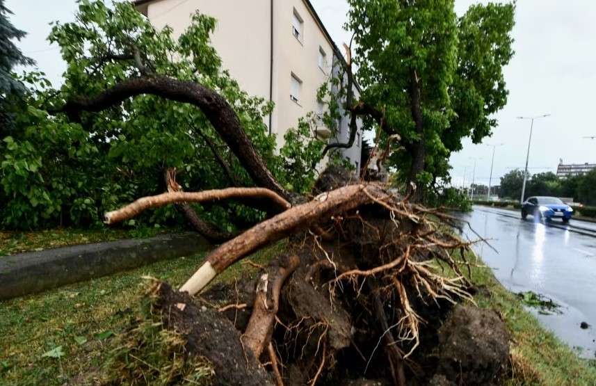 Stuhia e frikshme që përfshiu Ballkanin, pesë persona humbën jetën