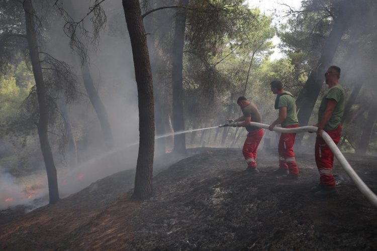 Zjarret, Peleshi: Vetëm një vatër aktive në masivin pyjor Plyk-Kraps-Gjorkos