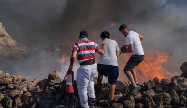 Zjarret në Greqi, zjarrfikësit luftojnë me flaket gjatë natës, digjen ferma dhe fabrika