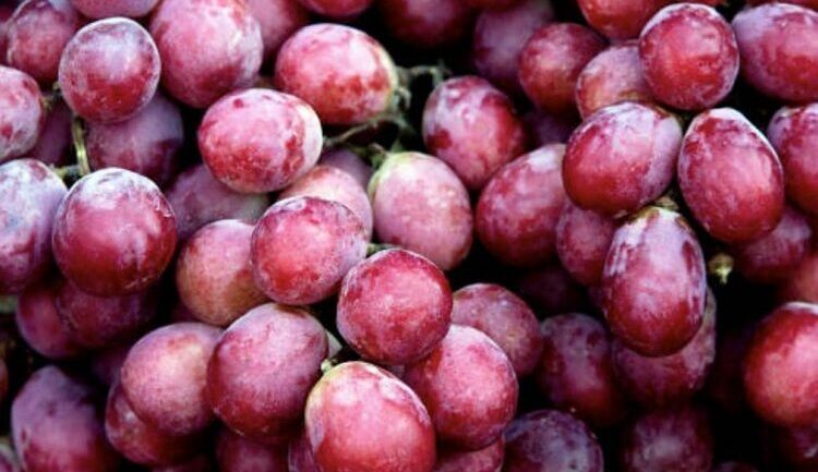 Ul kolesterolin dhe ka efekte kundër plakjes, ja vlerat e mëdha shëndetësore të rrushit të kuq