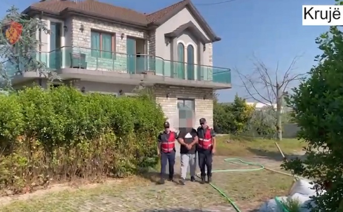 Iu gjetën në shtëpi fara kanabis të mbjella në kubikë, arrestohet 55-vjeçari në Krujë