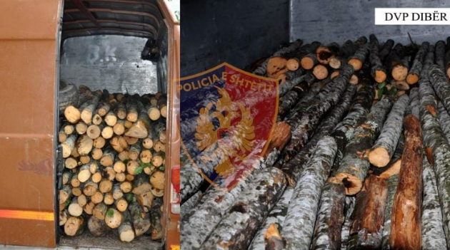 Po transportonin lëndë drusore të prerë ilegalisht në Dibër, ndiqen penalisht katër persona