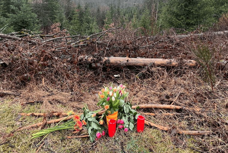  Gjendet e vdekur në pyll 12-vjeçarja, u vra nga shoqet e saj të mitura