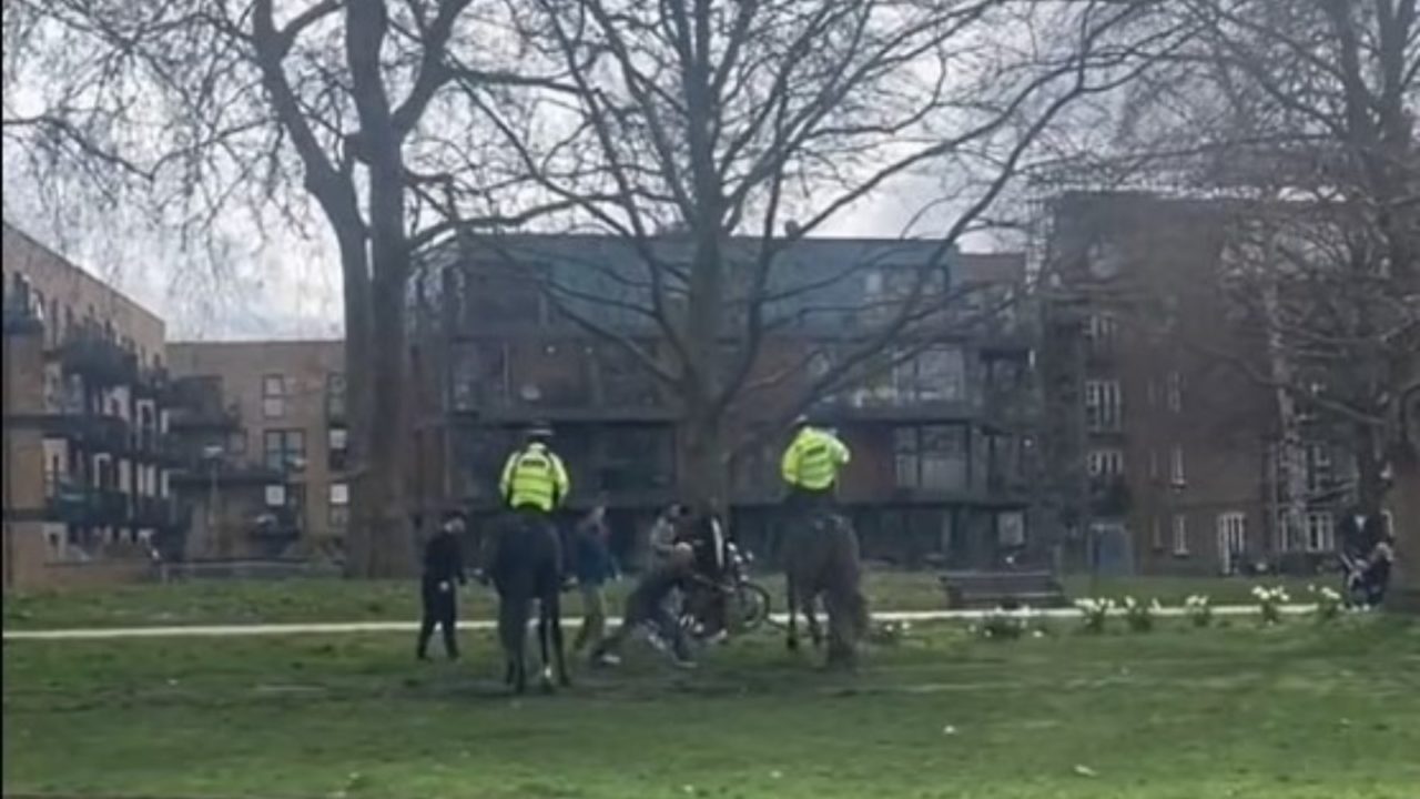 Qeni i tërbuar sulmon kuajt e policisë britanike