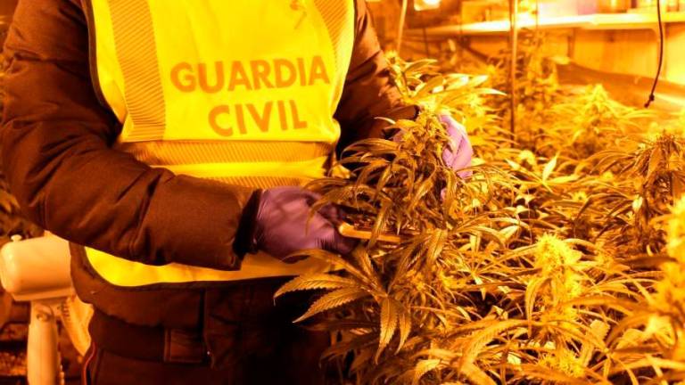 Shkatërrohet banda kriminale e trafikut të drogës në Spanjë, 19 të arrestuar, mes tyre edhe shqiptarë