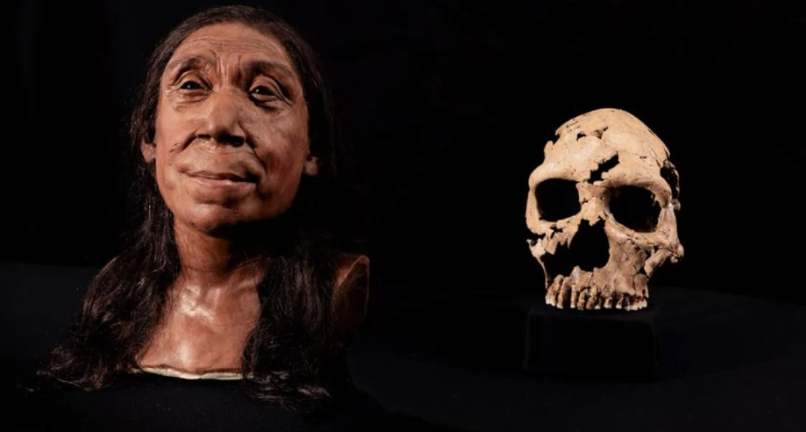 Shkencëtarët rindërtojnë fytyrën e Neandertalit që jetoi 75 mijë vjet më parë