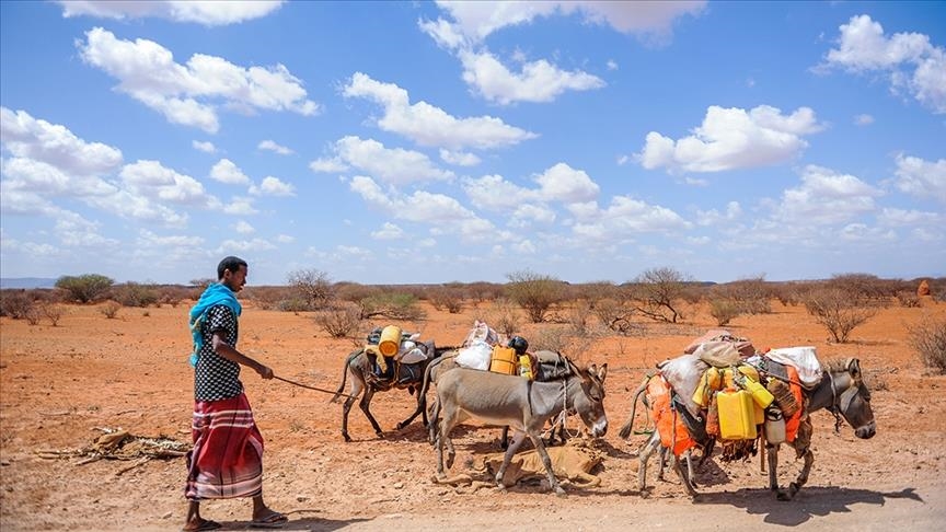 Thatësira e madhe në rajonin jugor të Afrikës lë 15 milionë njerëz në nevojë urgjente për ndihmë ushqimore