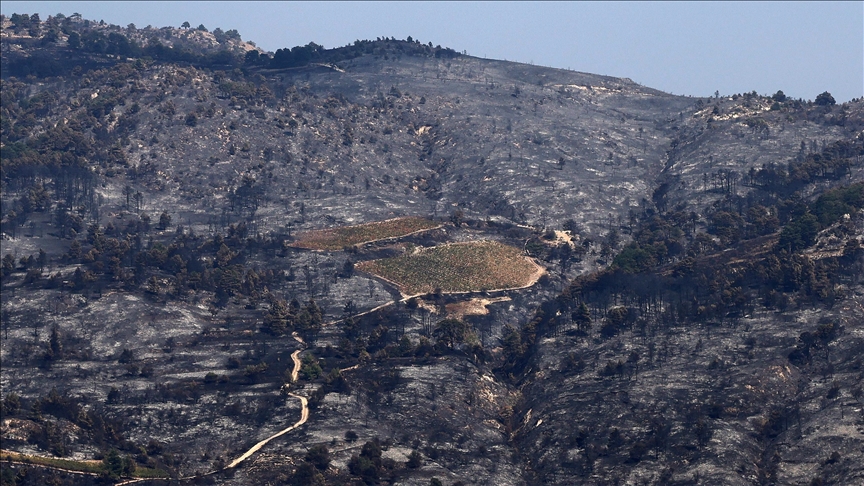 Greqi, zjarri shkatërron mbi 65 mijë hektarë pyje në gadishullin e Peloponezit