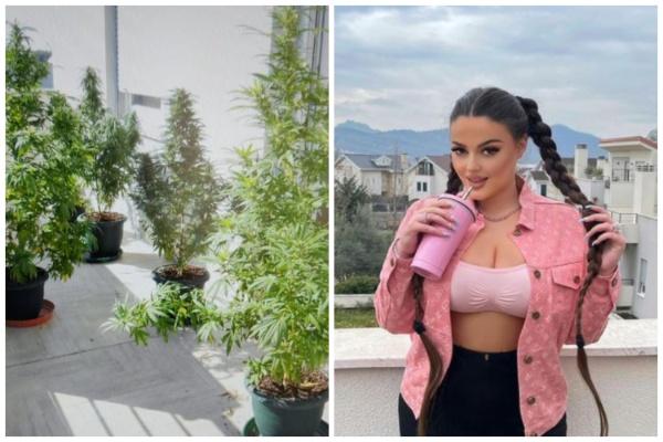 Kultivoi kanabis në banesë, Gjykata e Tiranës liron këngëtaren Enca Haxhiaj
