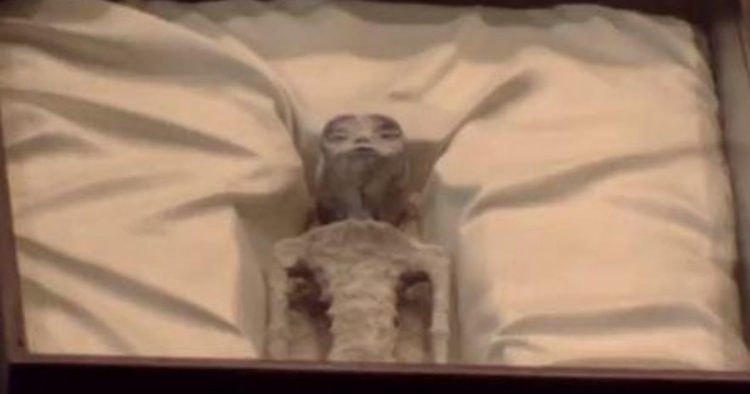 Prezantohen në Meksikë trupat e dy alienëve, studiuesi: Mbetjet janë 1800 vjeçare