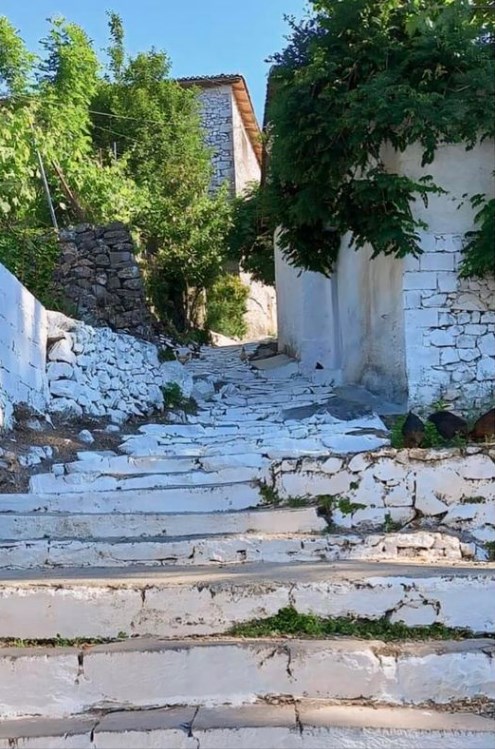 Fshati Zogaj, përfaqësues i vlerave arkitektonike e kulturore të rajonit të Shkodrës
