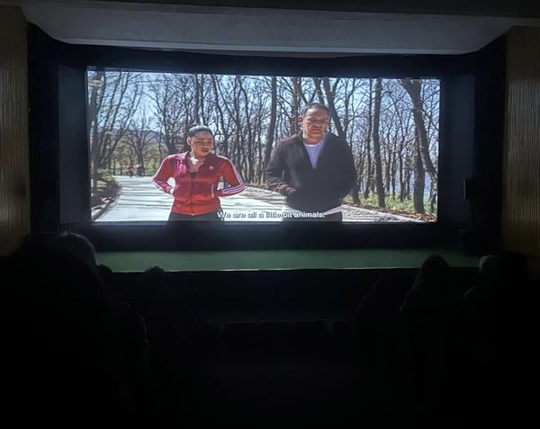 “Kinemaja në rajone” çon në Gjirokastër filmin “Një jetë me ty” të Erion Kames