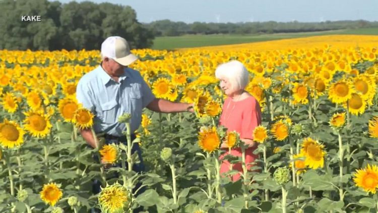 Burri mbjell 1.2 milion luledielli për gruan e tij