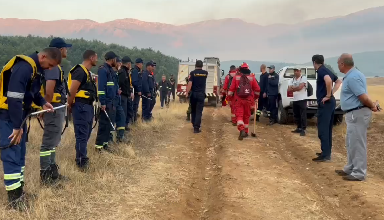 Zjarri rrezikon edhe Parkun Kombëtar të Prespës, Jole: Forca të shtuara në terren për ta mbrojtur