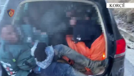 Transportonin 13 emigrantë të paligjshëm, arrestohen dy vëllezërit nga Tirana