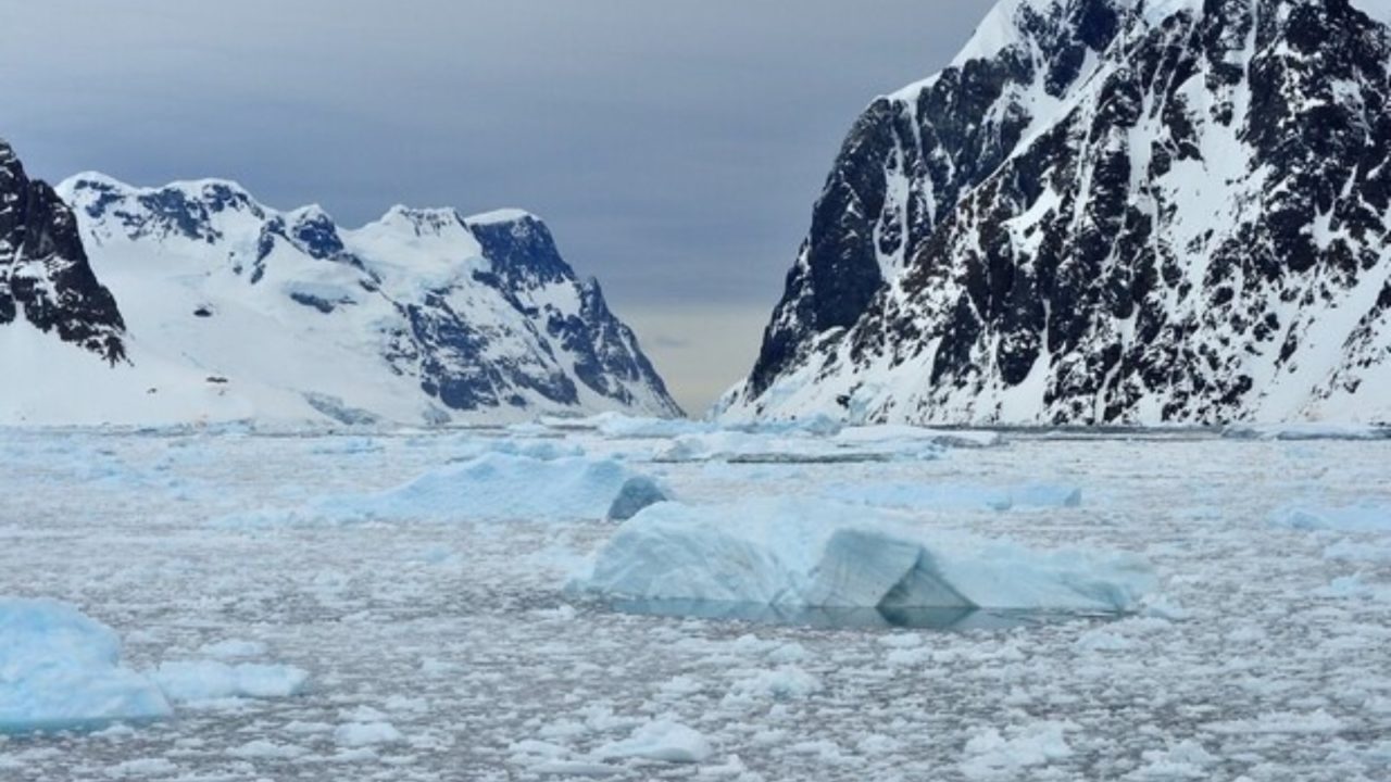 Zbulohet në Antarktidë një ekosistem i lashtë i fshehur nën akull