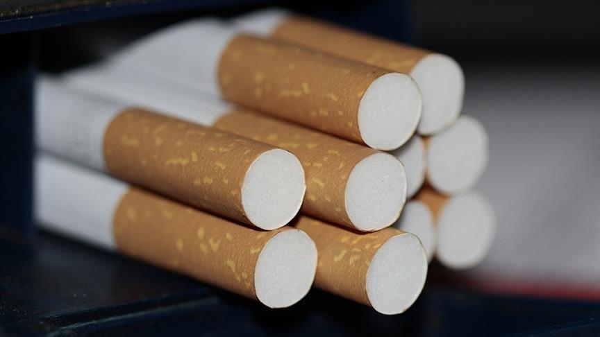 OBSH: Numri i përdoruesve të duhanit shënon ulje me rreth 19 milionë në 2 vitet e fundit