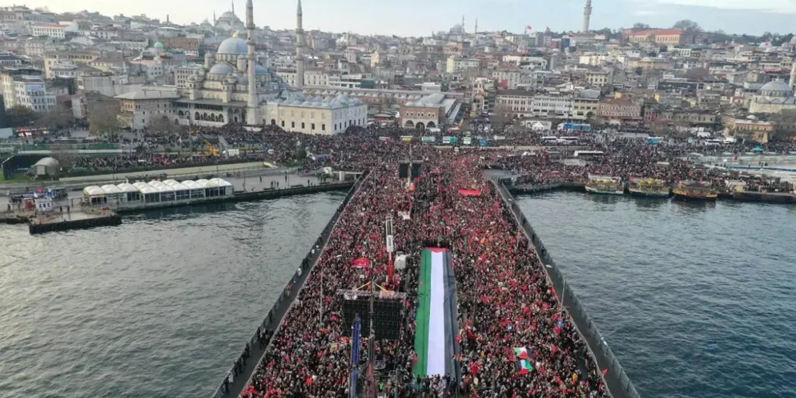 Ky qe Viti i Ri në Stamboll, me protagonist të birin e Erdoganit
