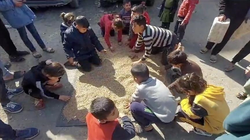 Palestinezët në veri të Gazës filluan të bluajnë ushqimin e kafshëve sepse nuk kanë miell