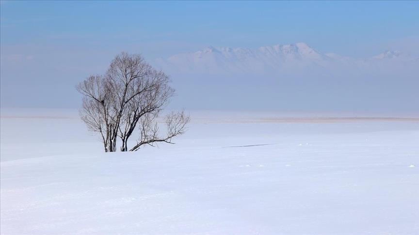 Në Kinën veriore regjistrohet dita më e ftohtë në 54 vitet e fundit, temperaturat në -53 gradë