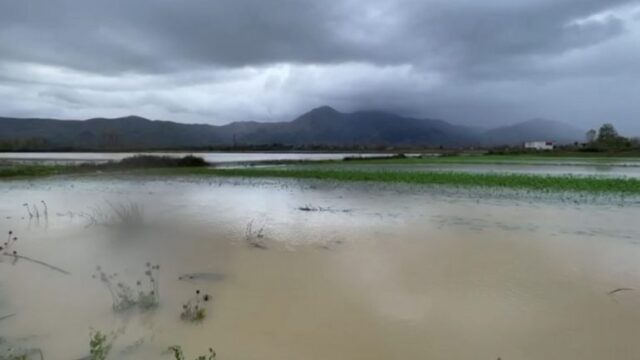 Ende 1020 hektarë tokë e përmbytur në Shkodër, vështirësi kalimi në rrugën e Obotit