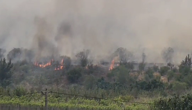 Zjarri i Peshtanit përhapet në fshatin Kraps, disa shtëpi janë pushtuar nga flaka