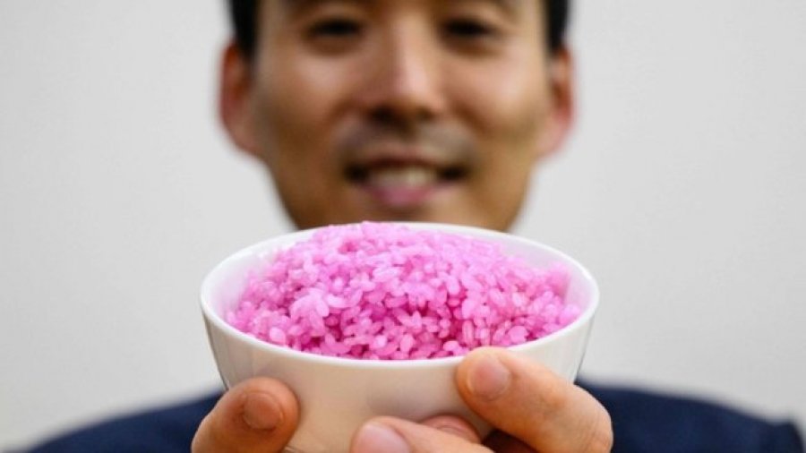 Profesori i Koresë së Jugut prodhon kokrra orizi me mish brenda! Synon të ndryshojë proteinat globale