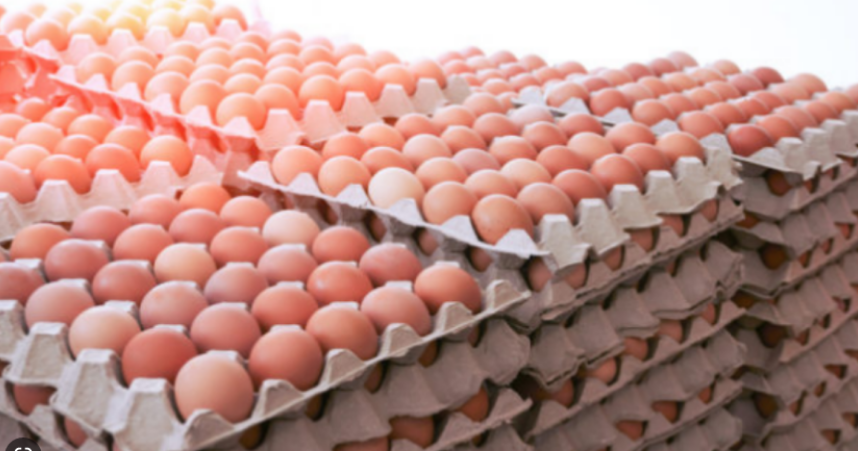 Denaj: Rritet eksporti i vezëve, rreth 168 milionë lekë gjatë 5 muajve