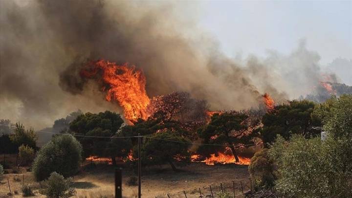 ShBA, evakuohen 7.000 persona për shkak të zjarreve në New Mexico