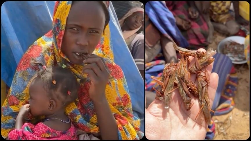 Sudanezët nën kthetrat e luftës dhe urisë, detyrohen të hanë karkaleca për të mbijetuar