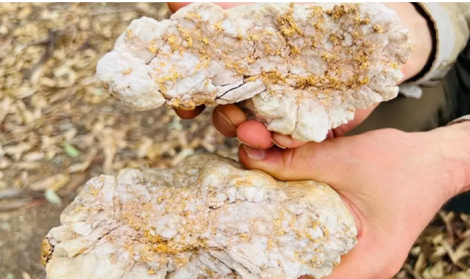 Një australian gjen gurin prej ari 4.6 kg me vlerë marramendëse