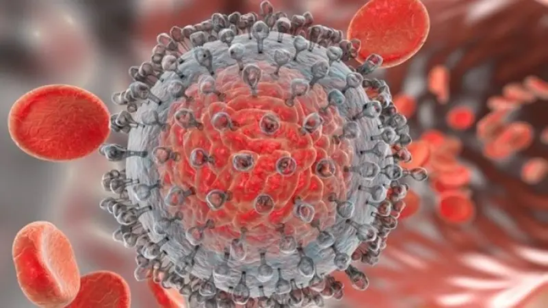 OBSH: Virusi i hepatitit vret më shumë se 3,500 njerëz në ditë