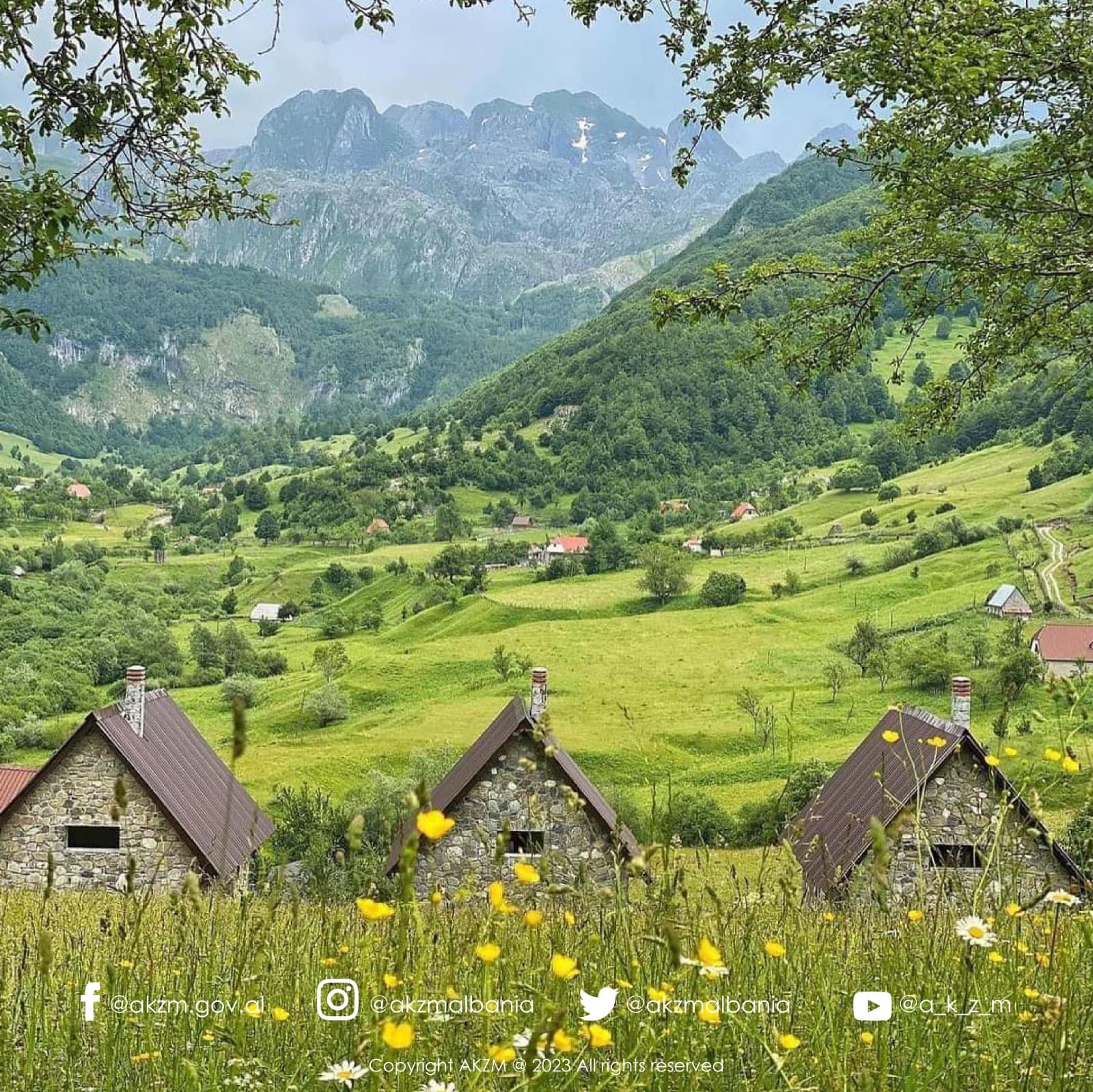 Alpet, mbi 1600 lloje bimësh në habitatet e pasura me pyje e livadhe