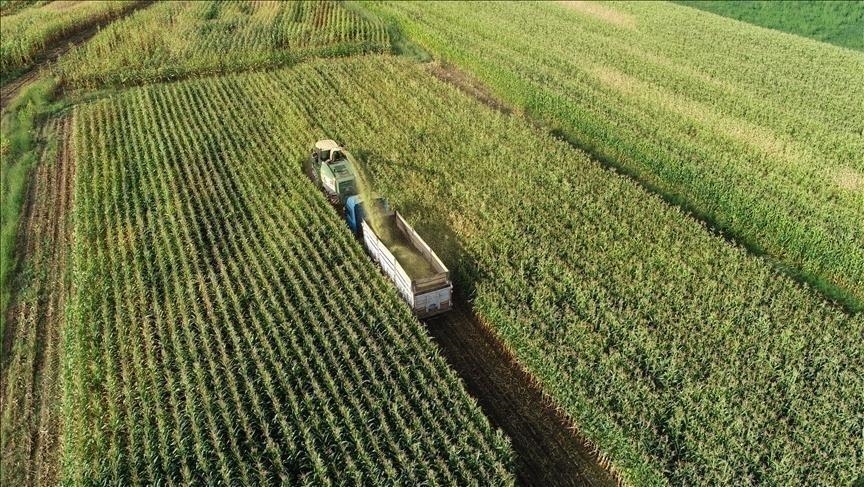 Marrëveshja e zgjeruar e tregtisë së lirë Türkiye-Britani hap dyer të reja për produktet bujqësore turke