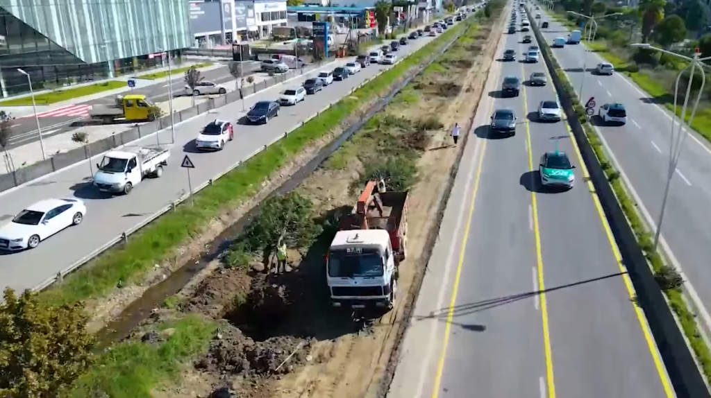 Nis zgjerimi i autostradës Tiranë-Durrës, pemët spostohen në Parkun e Liqenit