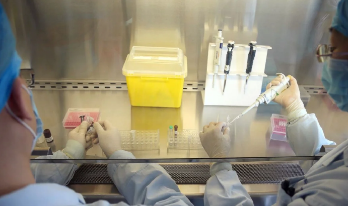 OBSH: Kina regjistron vdekjen e parë njerëzore në botë nga gripi i shpendëve H3N8
