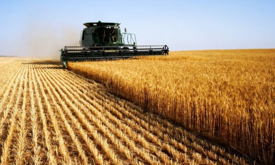 BE ndihmon me 100 milionë euro fermerët e prekur nga importet e grurit ukrainas